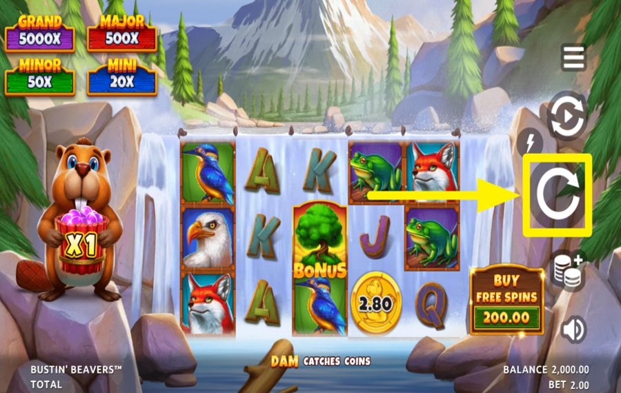 Bustin Beavers JOIN THE SPINNING.