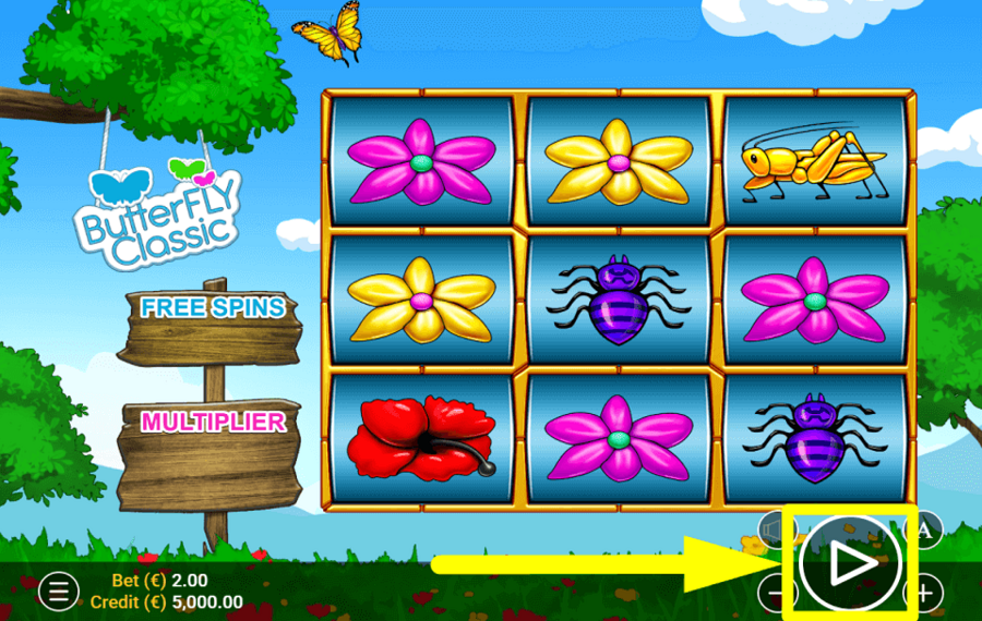 Butterfly Classic GO FOR A SPIN.