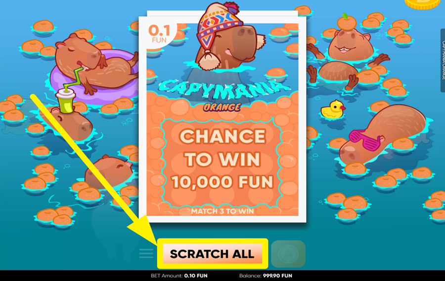 Capymania Orange GRATTEZ LE REVÊTEMENT.