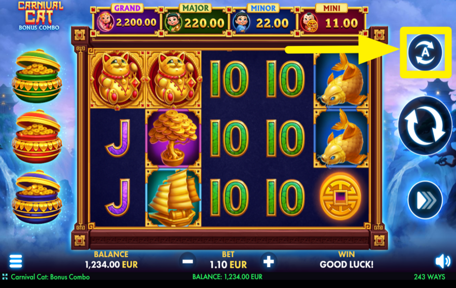 Carnival Cat Bonus Combo CHOISISSEZ LES TOURS AUTOMATIQUES.