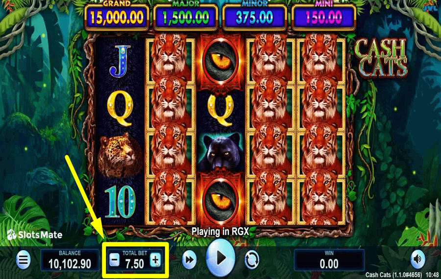 Cash Cats В ыберите сумму ставки. 