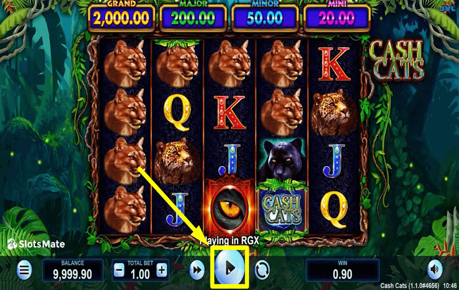 Cash Cats Нажмите/коснитесь кнопки «Вращать».