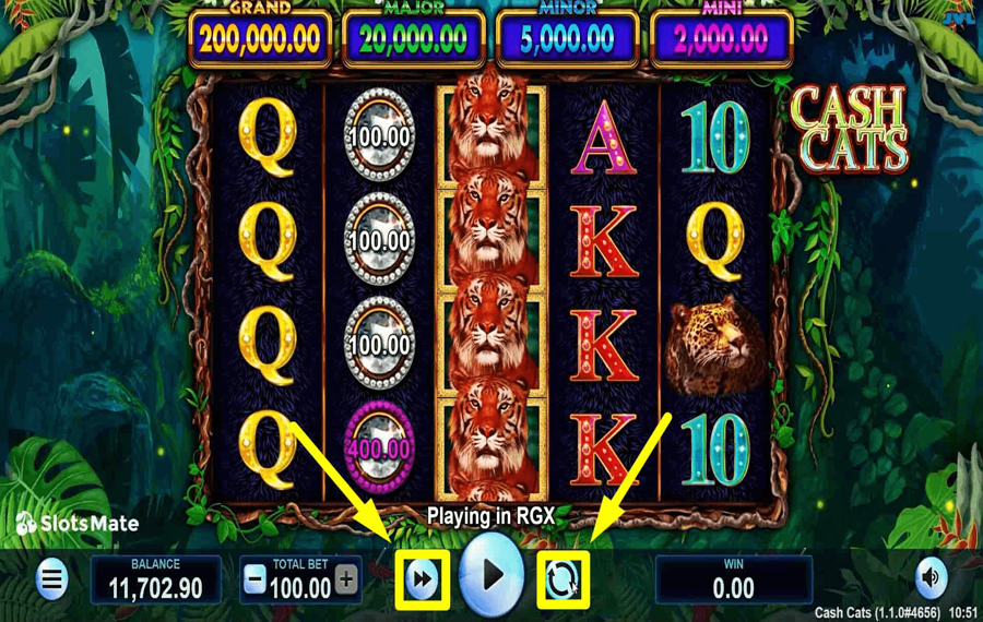 Cash Cats Использование дополнительных функций «Автозапуск» и «Турбо».