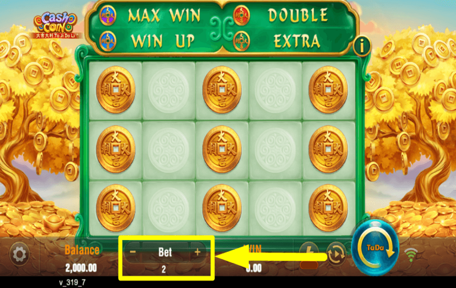 Cash Coin ASSIGN THE WAGER.