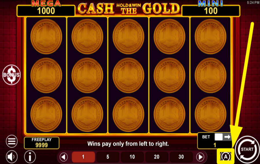 Cash The Gold Hold and Win ACTIVATE AUTOMATIC PLAY.