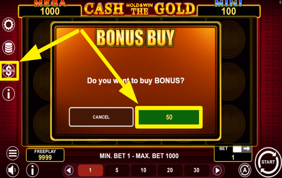 Cash The Gold Hold and Win PURCHASE BONUS FEATURE.