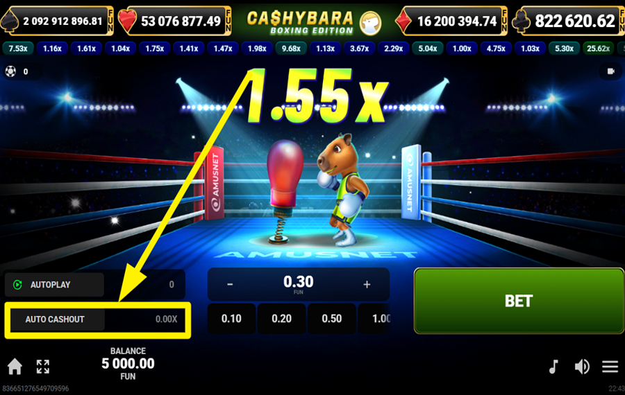 Cashybara Boxing Edition НАСТРОЙКА АВТОМАТИЧЕСКОГО ВЫВОДА СРЕДСТВ.
