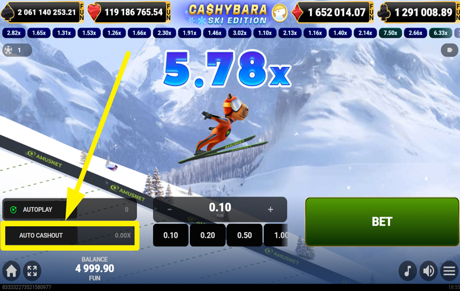 Cashybara Ski Edition НАСТРОЙКА АВТОМАТИЧЕСКОГО ВЫВОДА СРЕДСТВ.