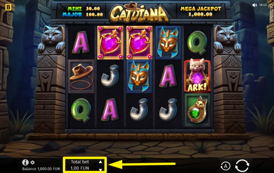 Catdiana ADJUST YOUR BETTING AMOUNT.
