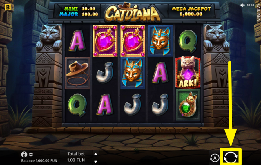 Catdiana SPIN FOR SUCCESS!