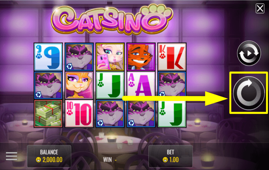 Catsino HORA DE JUGAR EL JUEGO.