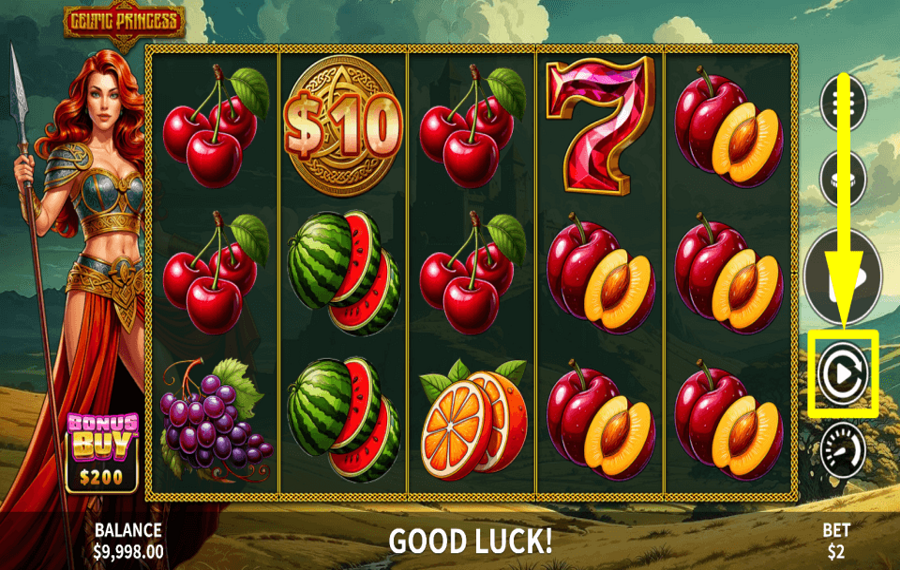 Celtic Princess CONTINUE AUTOMATICALLY.