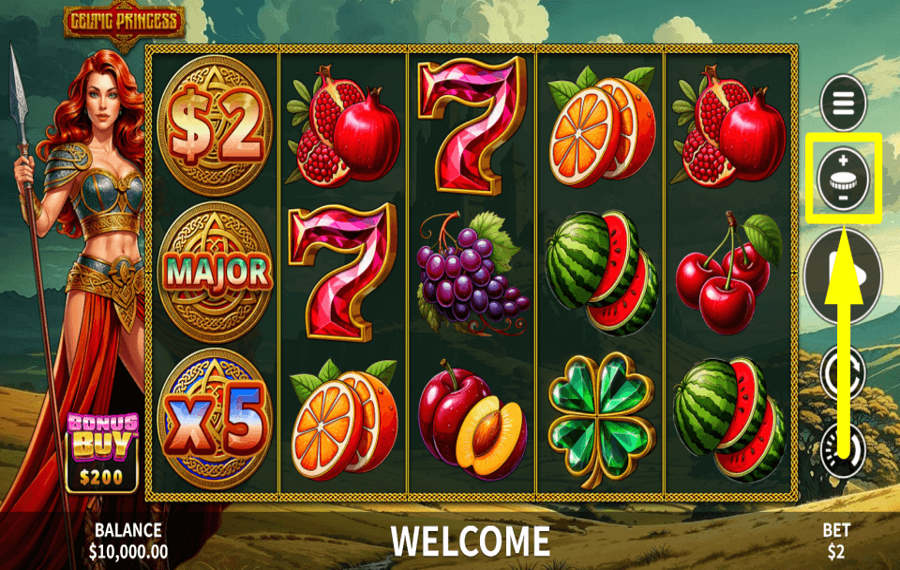 Celtic Princess CHOOSE THE WAGER.