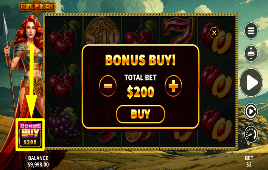 Celtic Princess COLLECT BONUSES.