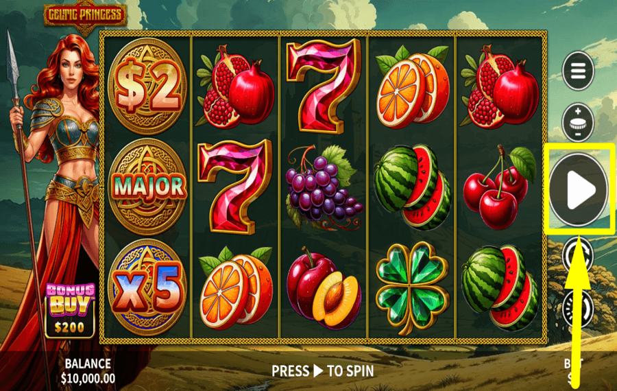 Celtic Princess COMMENCE GAMBLING.