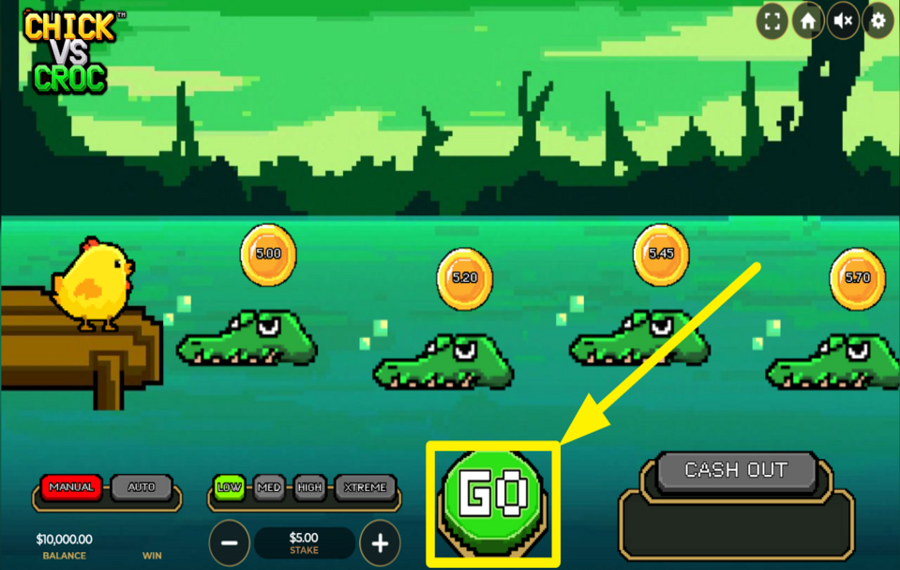 Chick vs Croc QUE LE PLAISIR COMMENCE !