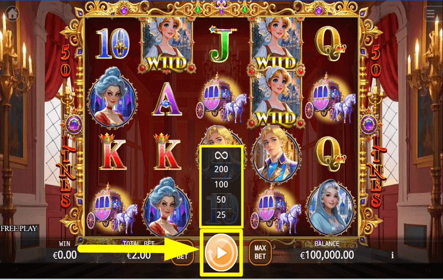 Cinderellas Glass Slipper USE AUTOPLAY.