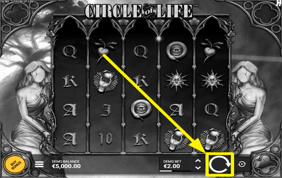 Circle of Life IGNITE THE EXCITEMENT!