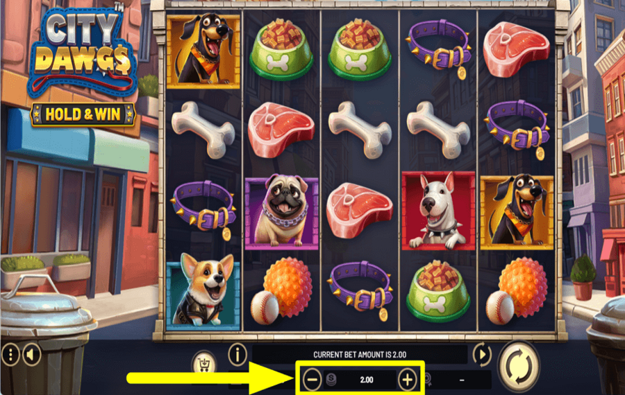 City Dawgs Hold and Win FAI LA SCOMMESSA.