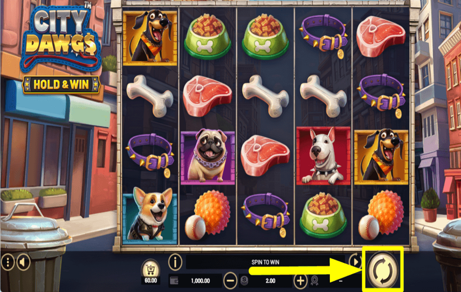 City Dawgs Hold and Win INIZIA A SCOMMETTERE.