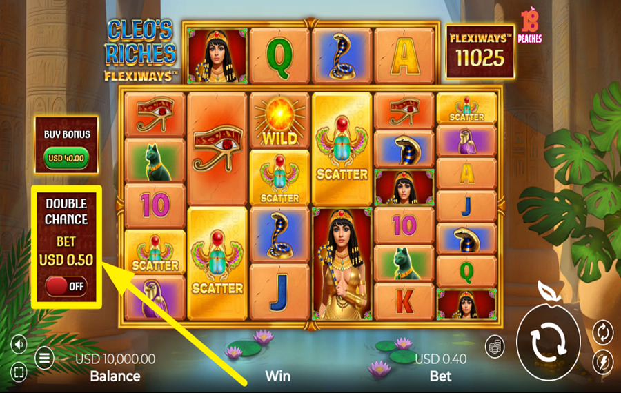 Cleos Riches FlexiWays DOUBLE YOUR WINNING CHANCES.