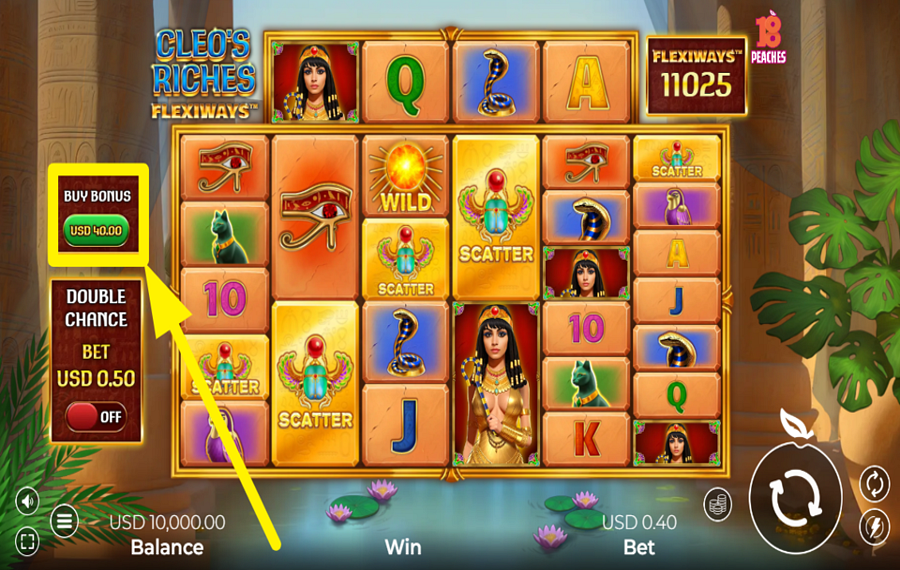 Cleos Riches FlexiWays TAKE ADVANTAGE OF THE BONUS ROUND.
