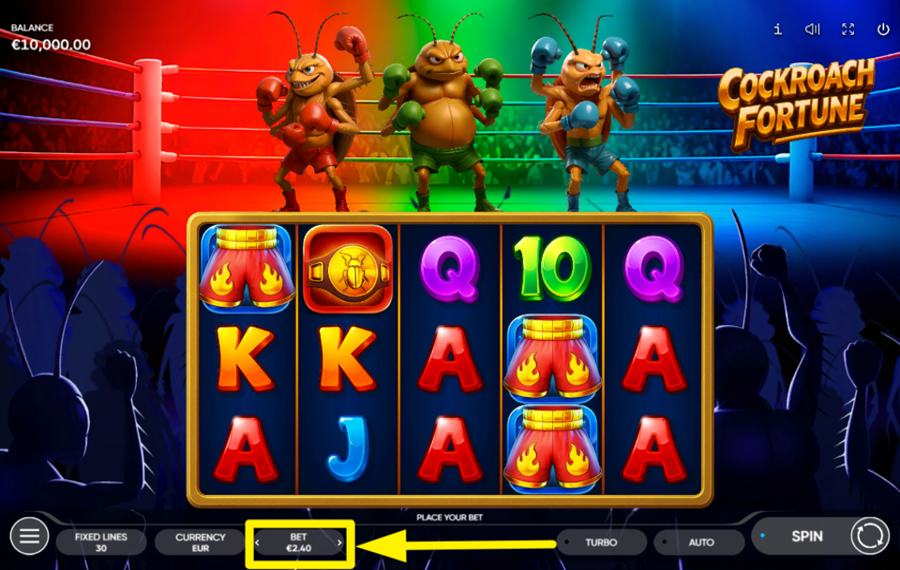 Cockroach Fortune ELIGE TU APUESTA.