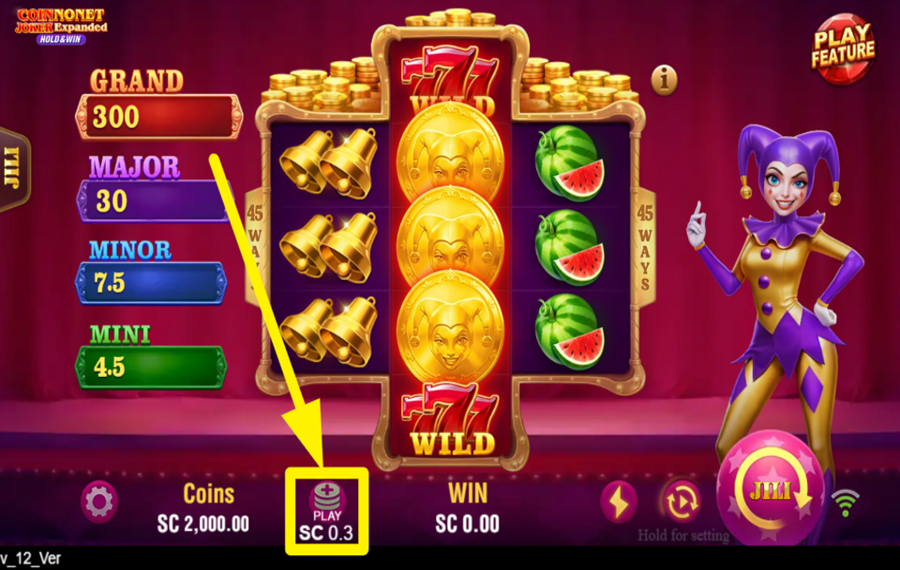 Coin Nonet Joker Expanded DECIDE ON YOUR BET.