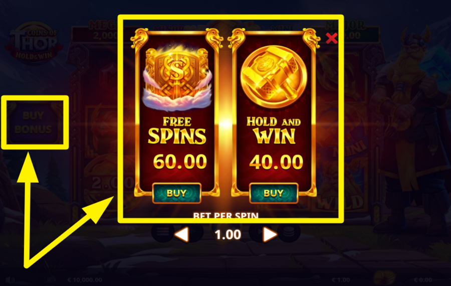 Coins of Thor ВЫБИРАЙТЕ ИЗ ДВУХ БОНУСНЫХ ПАКЕТОВ.