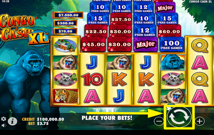 Congo Cash XL JOIN THE SPINNING!