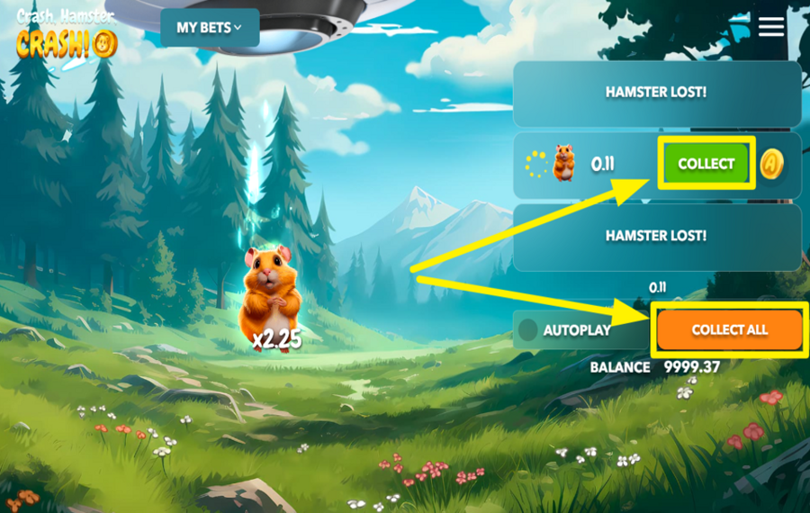 Crash Hamster Crash COLLECT YOUR WINNINGS.