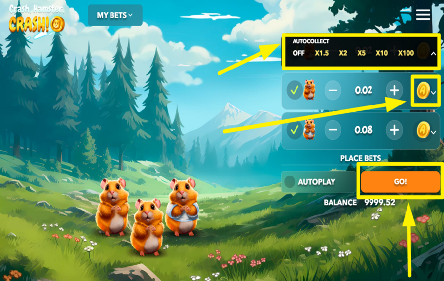 Crash Hamster Crash PRESS GO.