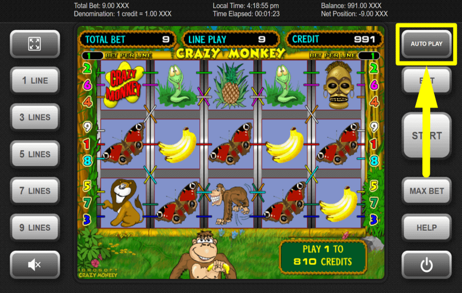 Crazy Monkey ВЫБЕРИТЕ ФУНКЦИЮ АВТОИГРЫ.