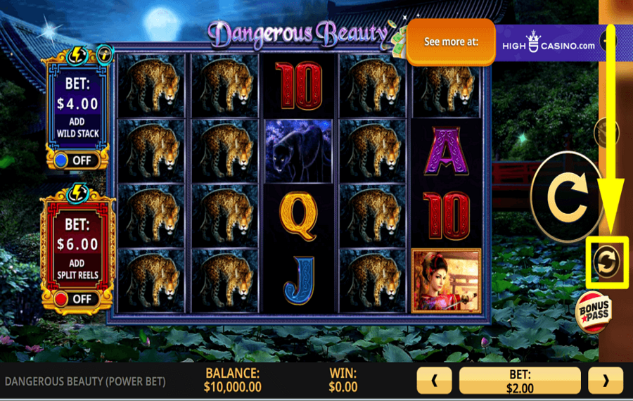 Dangerous Beauty Power Bet UTILIZZARE LA RIPRODUZIONE AUTOMATICA.