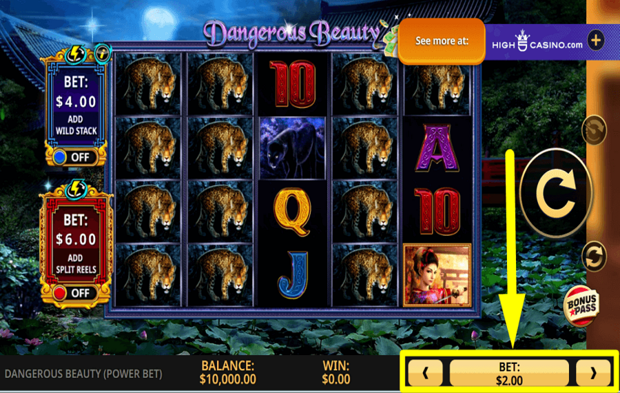 Dangerous Beauty Power Bet DECIDI LA TUA SCOMMESSA.