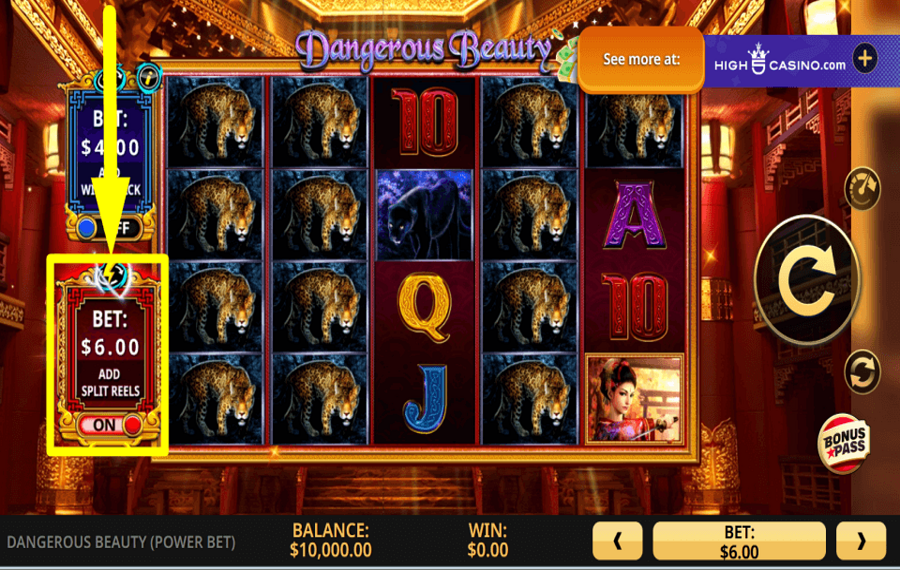 Dangerous Beauty Power Bet DIVIDERE I RULLI.