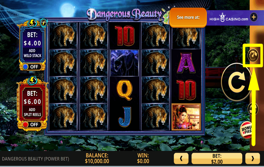 Dangerous Beauty Power Bet ACCELERARE GLI SPIN.