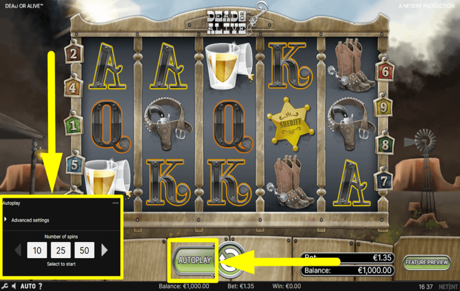 Dead or Alive PROCÉDER À LA LECTURE AUTOMATIQUE.