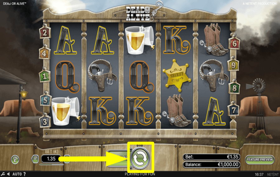 Dead or Alive JOUER LE JEU.