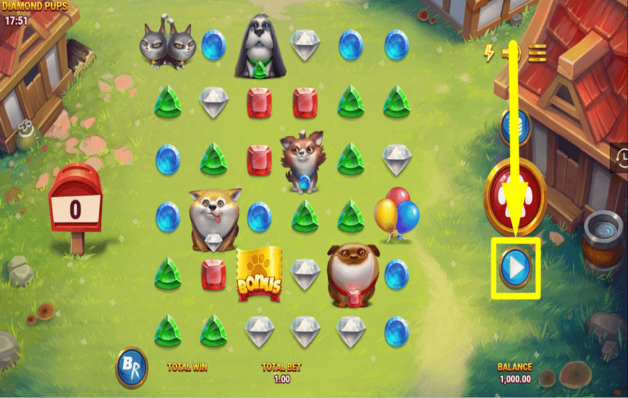 Diamond Pups MIT AUTOPLAY FORTFAHREN.