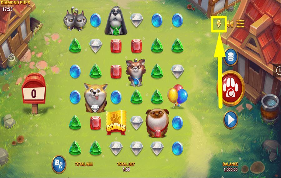 Diamond Pups BESCHLEUNIGEN SIE DAS TEMPO.