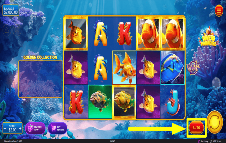 Divers Paradise PROCEED AUTOMATICALLY.