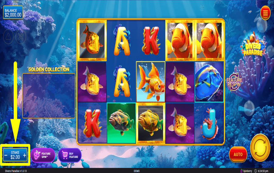 Divers Paradise PLACE YOUR BET.