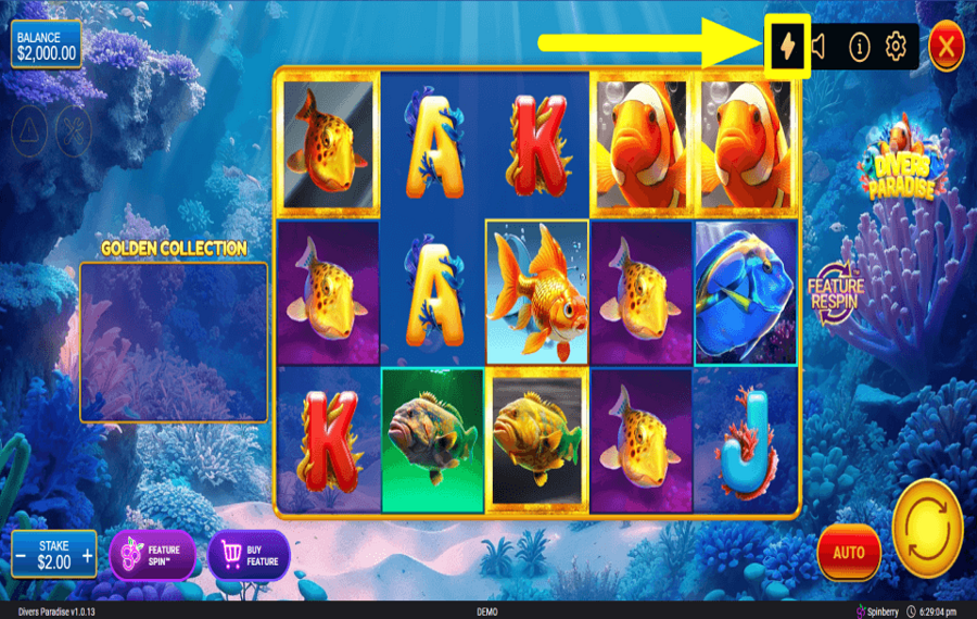 Divers Paradise PICK UP THE PACE.