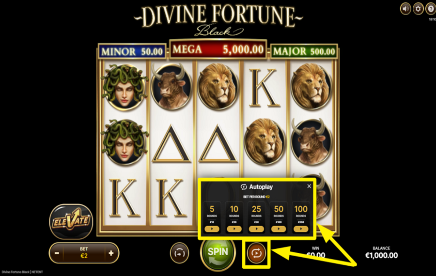 Divine Fortune Utilisation de la fonction optionnelle « Lecture automatique ».