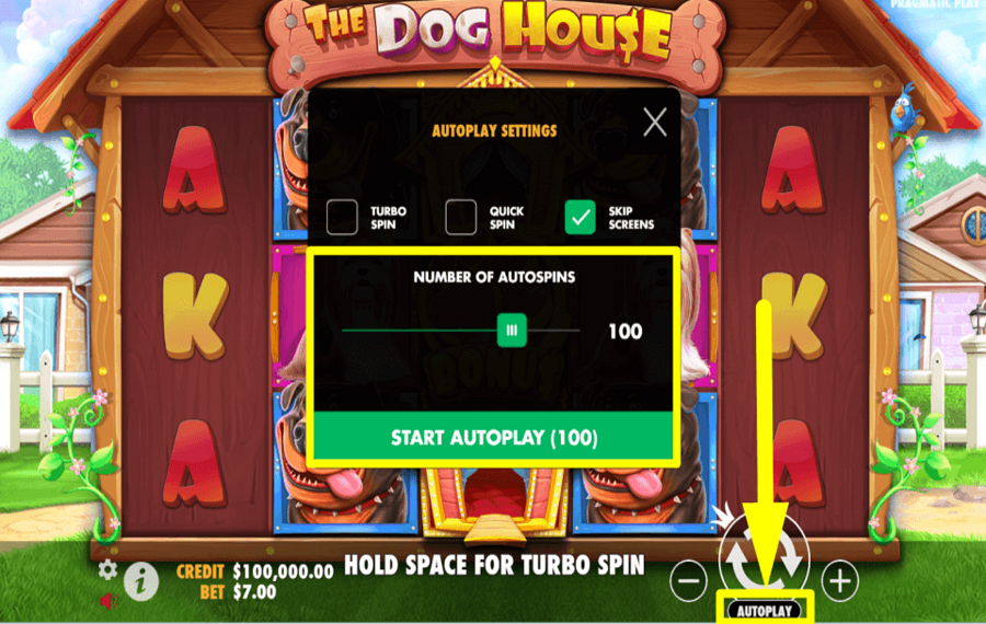 Dog Pound ACTIVATE AUTOPLAY.