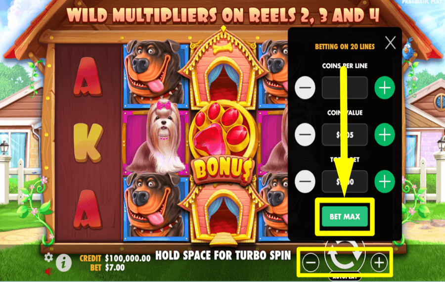 Dog Pound APPLY THE MAXIMUM BET.