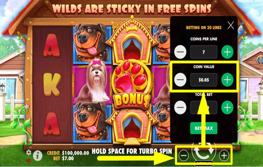 Dog Pound ADJUST COIN VALUE.