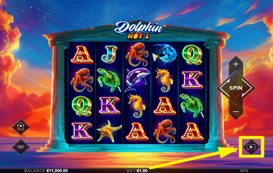 Dolphin Hot 1 AUTOPLAY AKTIVIEREN.