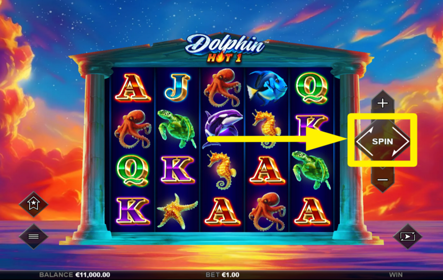 Dolphin Hot 1 DREHEN FÜR DEN ERFOLG!